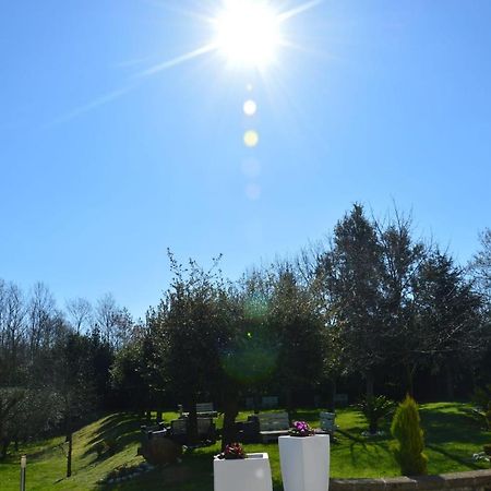 Willa Tenuta Terra Tefra Conca della Campania Zewnętrze zdjęcie