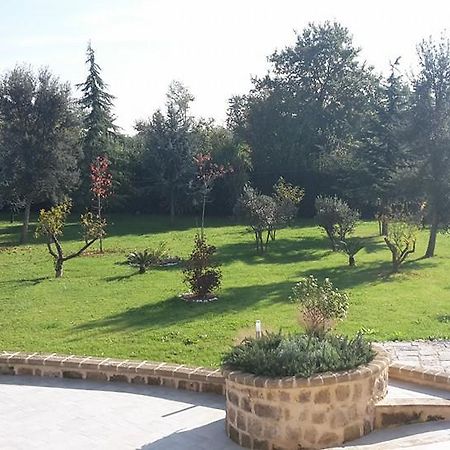 Willa Tenuta Terra Tefra Conca della Campania Zewnętrze zdjęcie