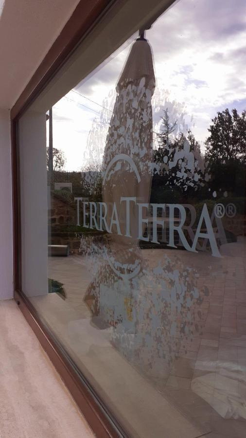 Willa Tenuta Terra Tefra Conca della Campania Zewnętrze zdjęcie