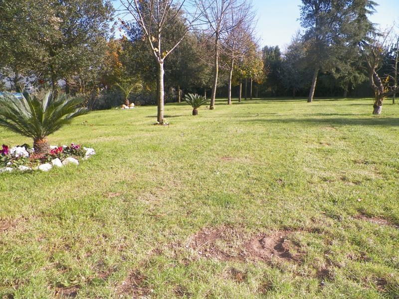 Willa Tenuta Terra Tefra Conca della Campania Zewnętrze zdjęcie